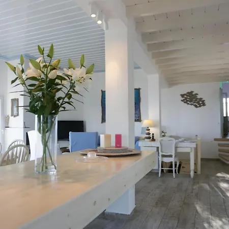 αιωρα فيلة Plintri