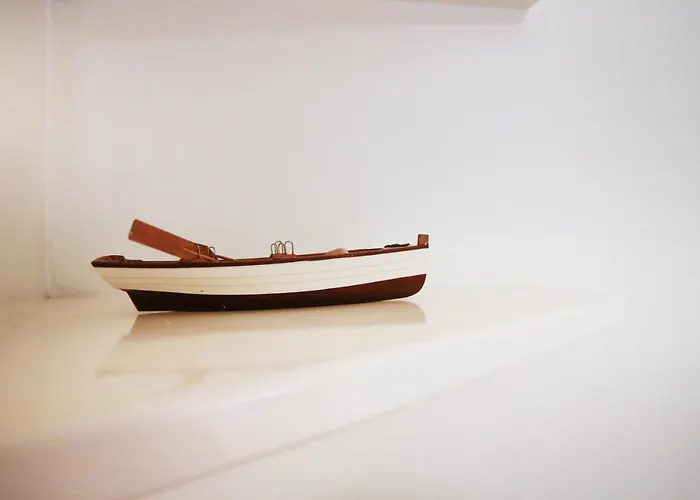 αιωρα فيلة Plintri